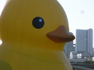 隊長殿