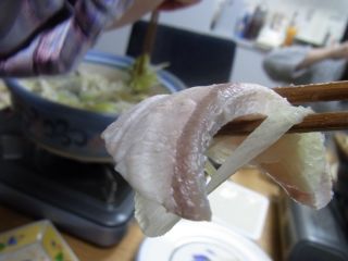 ブリのドアップ